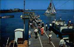 Inlet Pier Postcard