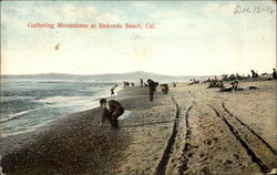 Gathering Moonstones Redondo Beach, CA Postcard Postcard