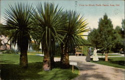 View in Birch Park Santa Ana, CA Postcard Postcard