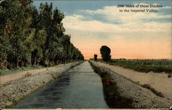 2000 miles of these ditches in the Imperial Valley Postcard