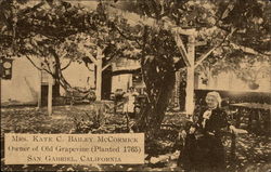 Mrs. Kate C. Bailey McCormick, Owner of Old Grapevine (Planted 1765) San Gabriel, CA Postcard Postcard