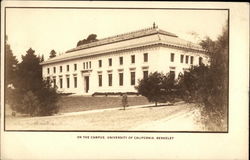 On the Campus of the University of California Berkeley, CA Postcard Postcard