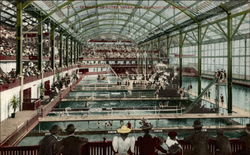 Interior of Sutro Baths Postcard