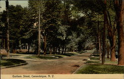 Gorham Street Canandaigua, NY Postcard Postcard