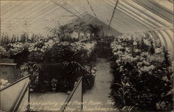 Conservatory and Plant Room, The "Saltford Flower Shop Postcard