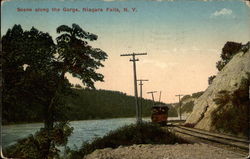 Scene along the Gorge Niagara Falls, NY Postcard Postcard