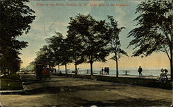 Scene at the Front, Lake Erie is the Distance Buffalo, NY Postcard Postcard