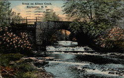 Scene on Allens Creek Postcard