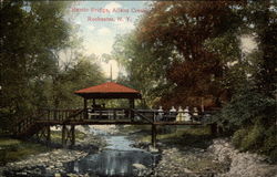 Rustic Bridge, Allens Creek Postcard