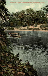 Scene on Upper Genesee River Postcard