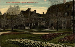 Tulips, Portsmouth Terrace Rochester, NY Postcard Postcard