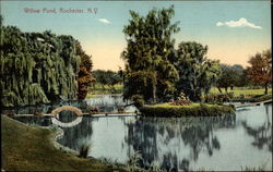 Willow Pond Rochester, NY Postcard Postcard