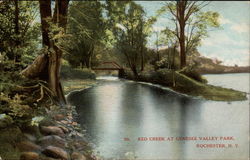 Red Creek At Genesee Valley Park Rochester, NY Postcard Postcard