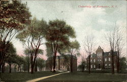 University of Rochester New York Postcard Postcard