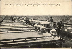 Salt Industry Postcard