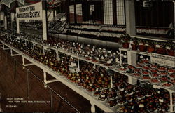 Fruit Display, New York State Fair Syracuse, NY Postcard Postcard