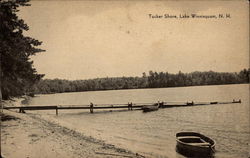 Tucker Shore, Lake Winnisquam Scenic, NH Postcard Postcard