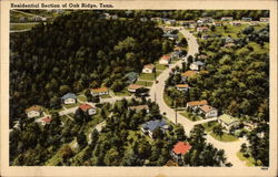 Residential Section of Oak Ridge Tennessee Postcard Postcard