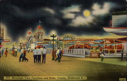 Moonlight View Funchase and Roller Coaster Postcard