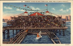 Crowded Stands Witness Horse Dive, Steel Pier Postcard