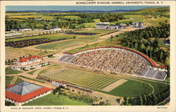 Schoellkopf Stadium, Cornell University Ithaca, NY Postcard Postcard