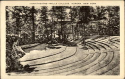 Amphitheatre, Wells College Aurora, NY Postcard Postcard