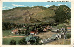 Eaton's Ranch Wolf, WY Postcard Postcard