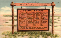 A Marker Showing Several Cattle Brands Postcard