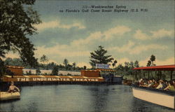 Weekiwachee Spring on Florida's Gulf Coast Scenic Highway Postcard