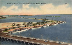 Yachts Anchored Along County Causeway Postcard