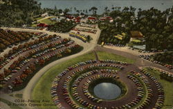 Parking Area at Florida's Cypress Gardens Postcard