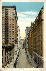 Cherry Street Canyon Postcard