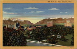 Bird's-Eye View Ogden, UT Postcard Postcard