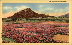 Verbenas on the Desert Postcard