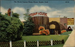 The World Famous Stump House Eureka, CA Postcard Postcard