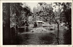 Swimming Pool at Sequoia Gardens Santa Cruz, CA Postcard Postcard