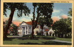 Calumet Farm Lexington, KY Postcard Postcard