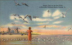 Dinner Time for the Sea Gulls Postcard