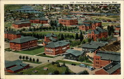 University of Montana Postcard