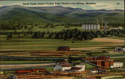 Stock Yards, Sugar Factory Right Background Postcard