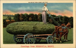 We Bring Them Home Like This Missoula, MT Postcard Postcard