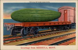 Greetings from Missoula, Mont Postcard