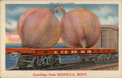 Greetings from Missoula, Mont Montana Postcard Postcard