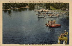 Looking Down Wakulla River from Mouth of Springs Postcard