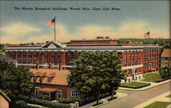 The Marine Biological Buildings at Woods Hole Postcard