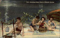 Picnicking Under Water at Wakulla Springs Florida Postcard Postcard