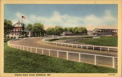 Pimlico Race Track Postcard