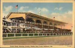 Grand Stand, Showing Crowds, Pimlico Race Track Postcard