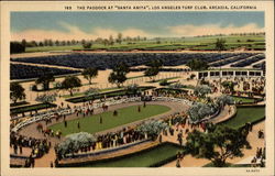 193 The Paddock at "Santa Anita", Los Angeles Turf Club Arcadia, CA Postcard Postcard