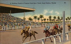 A Thrilling Finish at Tropical Park Race Track Coral Gables, FL Postcard Postcard